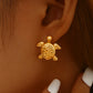 Comprar Pendientes tortuga Valencia